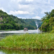 Murchison Falls national park