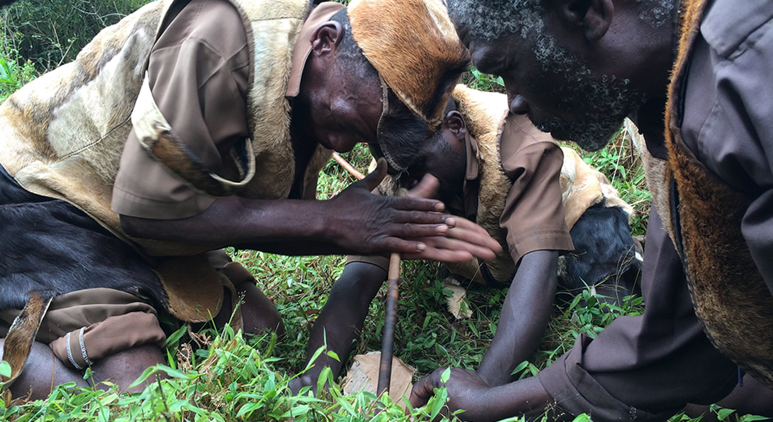 The Batwa Cultural Experience in Bwindi Forest