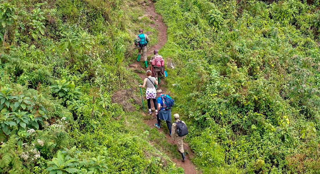 Mountain Hiking in Uganda